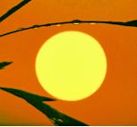 The Setting Sun