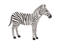 Zebra-L2R