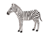 zebra4-100