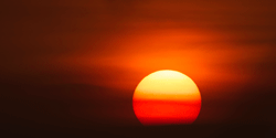 Half-Sun-250