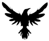 Raven-100