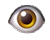 Update-Eye-L-50