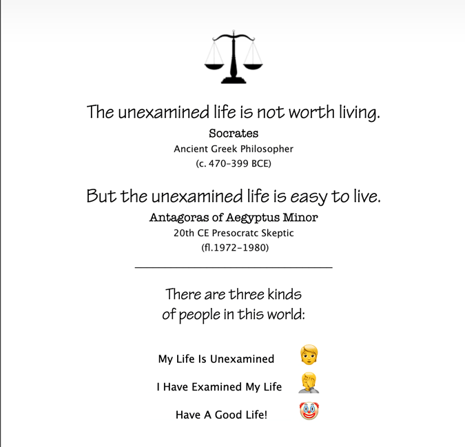 The-Unexamined-Life-675